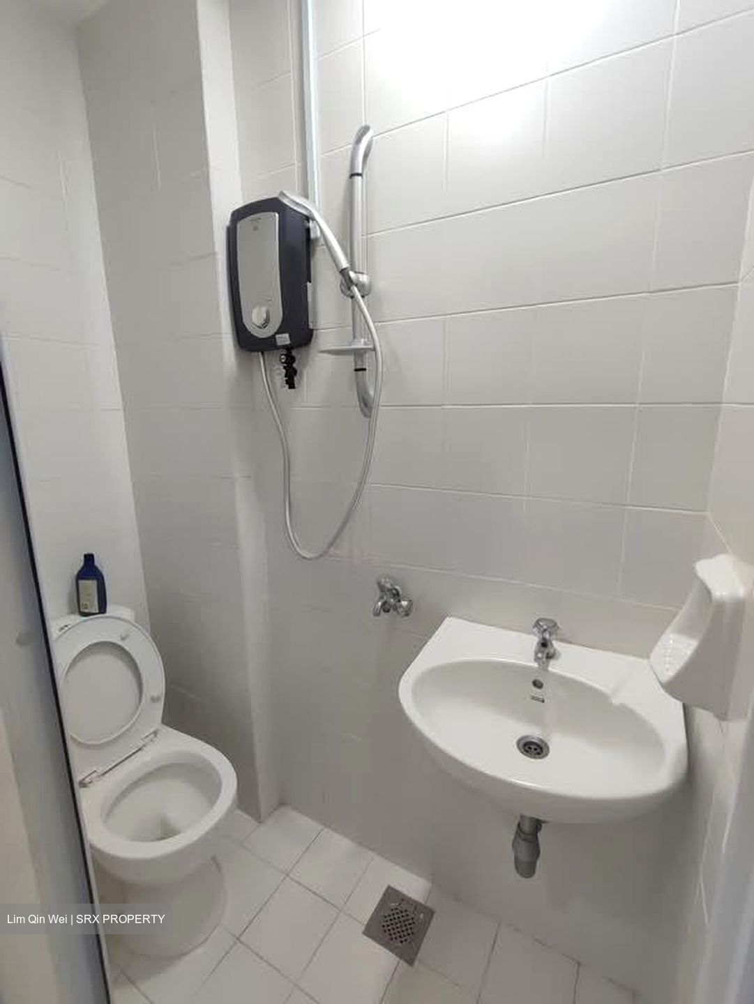 Changi Green (D16), Condominium #597222331